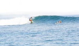 冲浪达人阿怡爆料视频,阿怡揭秘冲浪达人冲浪技巧与心路历程