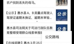 公众号爆料视频怎么做的,轻松掌握短视频创作秘诀