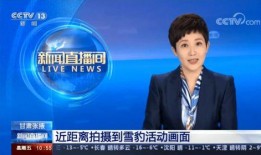 11月活动最新爆料新闻,精彩纷呈，不容错过！